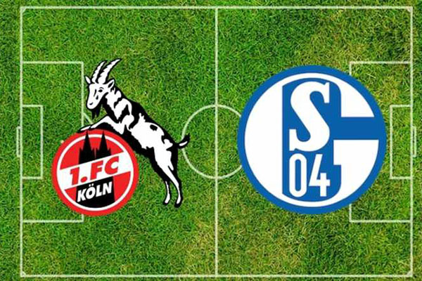 Prediksi Pertandingan Sepakbola Liga Jerman FC Koln VS Schalke 04